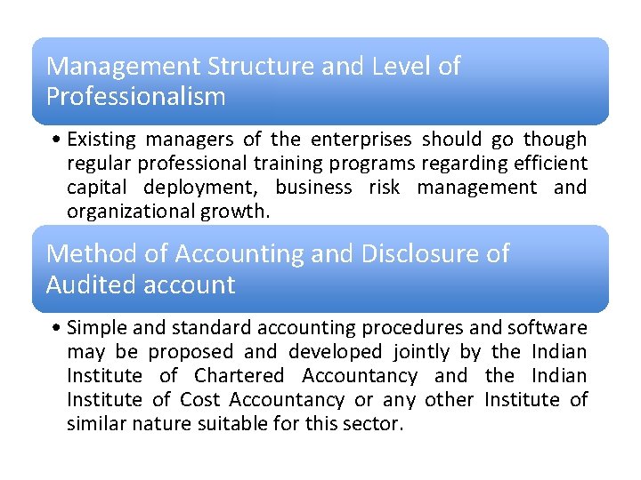 Management Structure and Level of Professionalism • Existing managers of the enterprises should go
