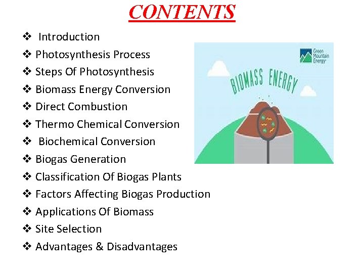 CONTENTS v Introduction v Photosynthesis Process v Steps Of Photosynthesis v Biomass Energy Conversion