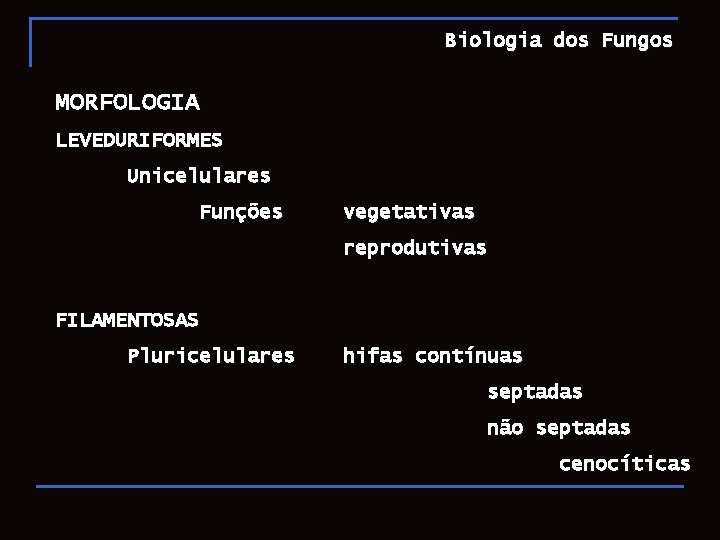 Biologia dos Fungos MORFOLOGIA LEVEDURIFORMES Unicelulares Funções vegetativas reprodutivas FILAMENTOSAS Pluricelulares hifas contínuas septadas