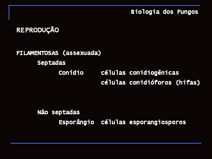Biologia dos Fungos REPRODUÇÃO FILAMENTOSAS (assexuada) Septadas Conídio células conidiogênicas células conidióforos (hifas) Não