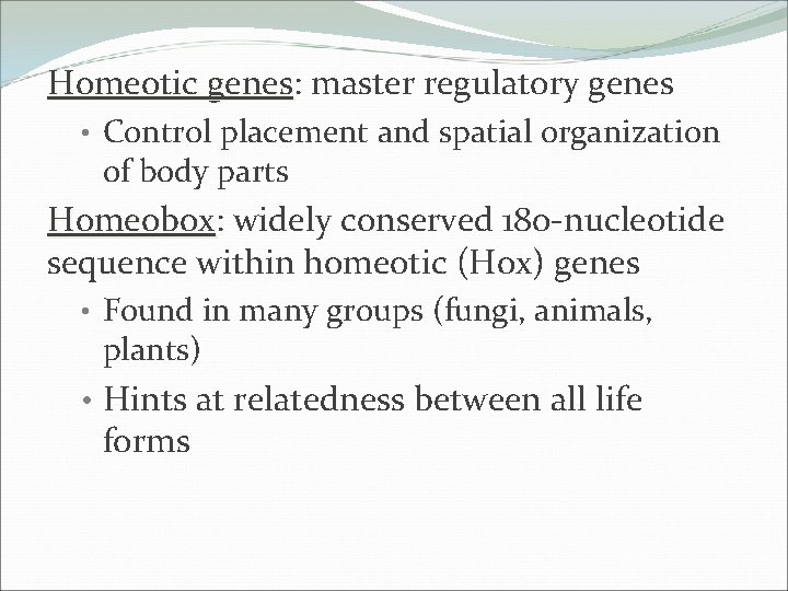 Homeotic genes: genes master regulatory genes • Control placement and spatial organization of body