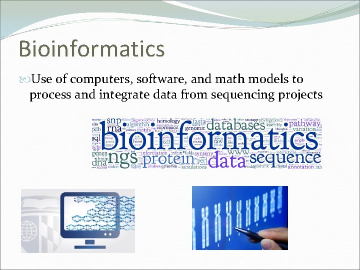 Bioinformatics Use of computers, software, and math models to process and integrate data from