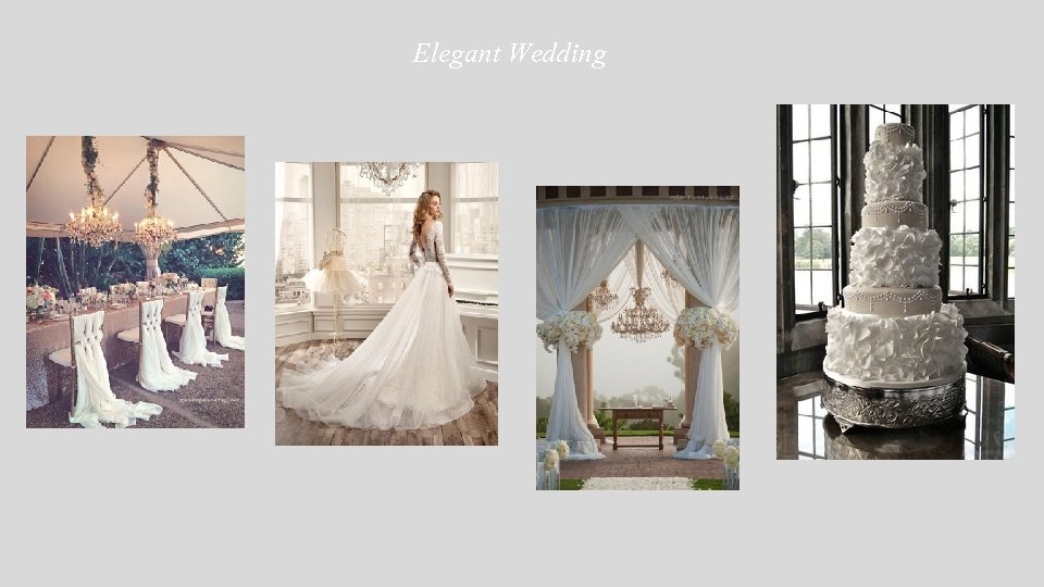 Elegant Wedding 