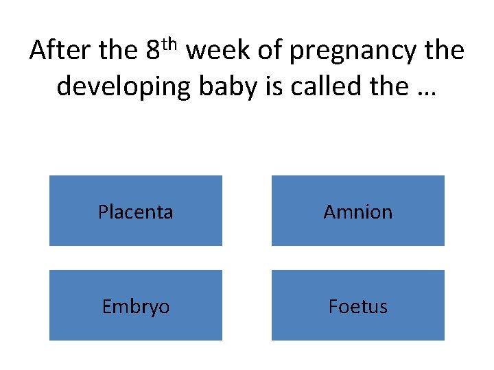 After the 8 th week of pregnancy the developing baby is called the …