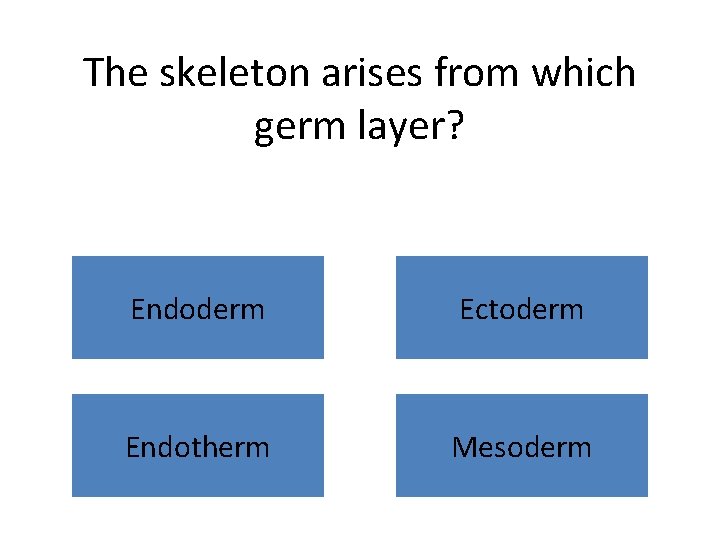 The skeleton arises from which germ layer? Endoderm Ectoderm Endotherm Mesoderm 