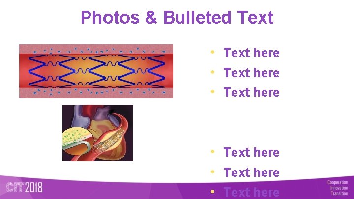 Photos & Bulleted Text • Text here • Text here 