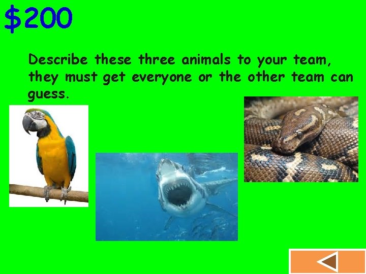 $200 Describe these three animals to your team, they must get everyone or the
