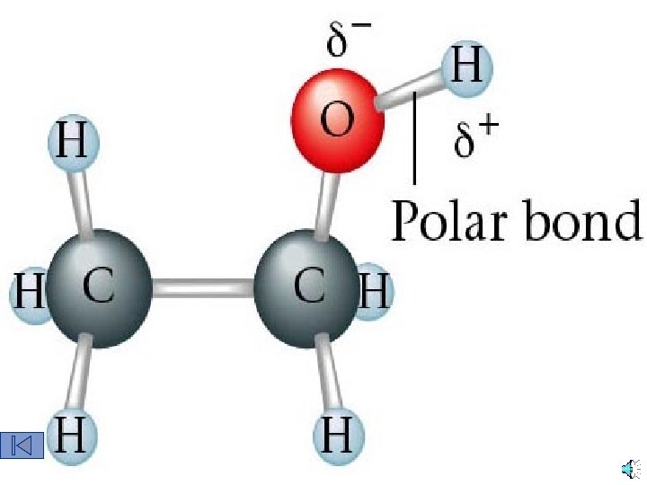 Ethanol is Polar 