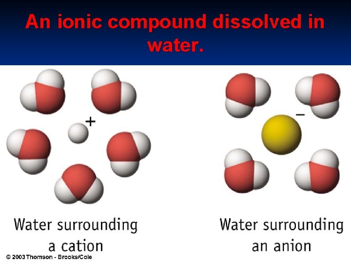 An ionic compound dissolved in water. 