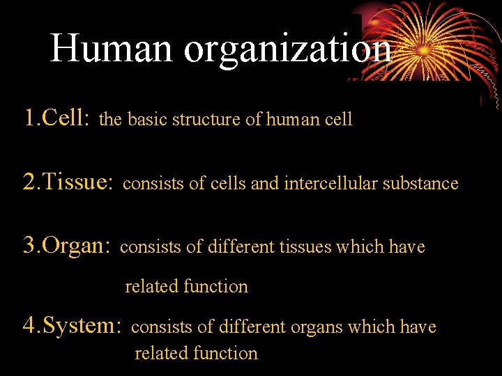Human organization 1. Cell: the basic structure of human cell 2. Tissue: consists of