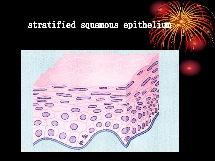 stratified squamous epithelium 