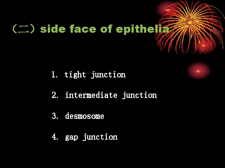 （二）side face of epithelia 1. tight junction 2. intermediate junction 3. desmosome 4. gap