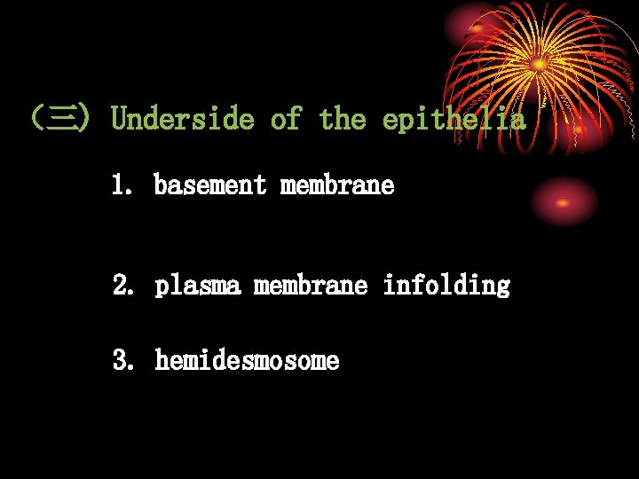 （三) Underside of the epithelia 1. basement membrane 2. plasma membrane infolding 3. hemidesmosome