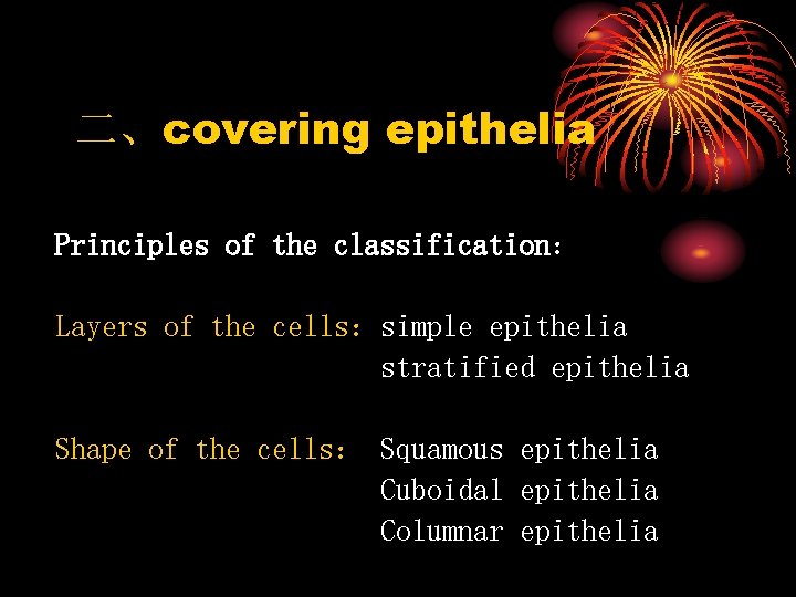 二、covering epithelia Principles of the classification： Layers of the cells：simple epithelia stratified epithelia Shape