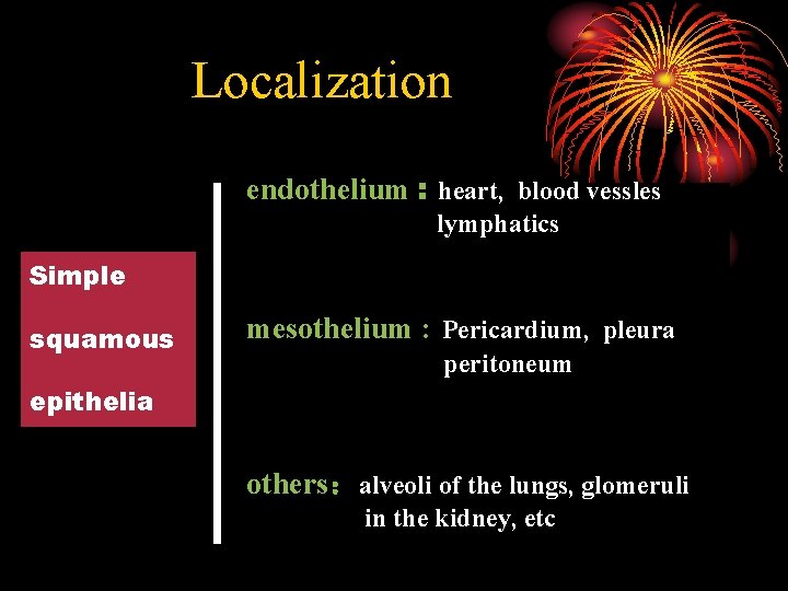 Localization endothelium : heart, blood vessles lymphatics Simple squamous mesothelium : Pericardium, pleura peritoneum
