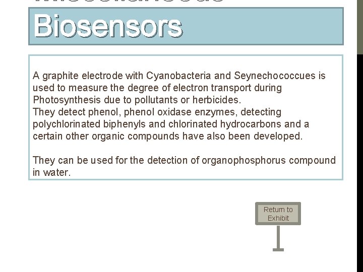 Miscellaneous Biosensors A graphite electrode with Cyanobacteria and Seynechococcues is used to measure the