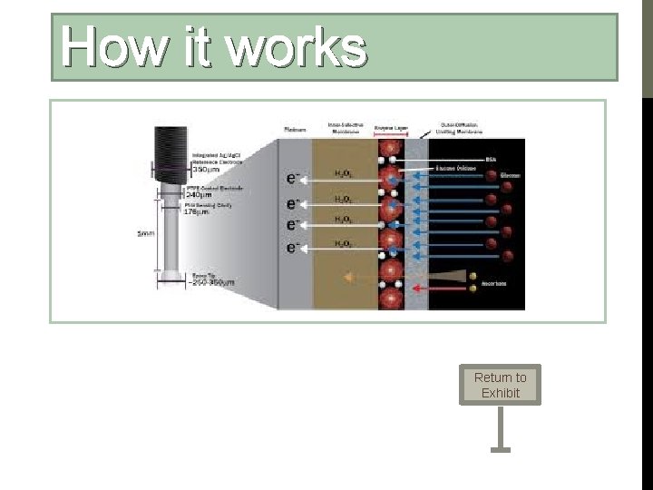 How it works Return to Exhibit 