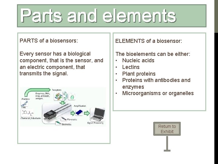 Parts and elements PARTS of a biosensors: ELEMENTS of a biosensor: Every sensor has