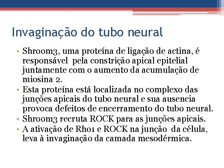 Invaginação do tubo neural • Shroom 3, uma proteína de ligação de actina, é