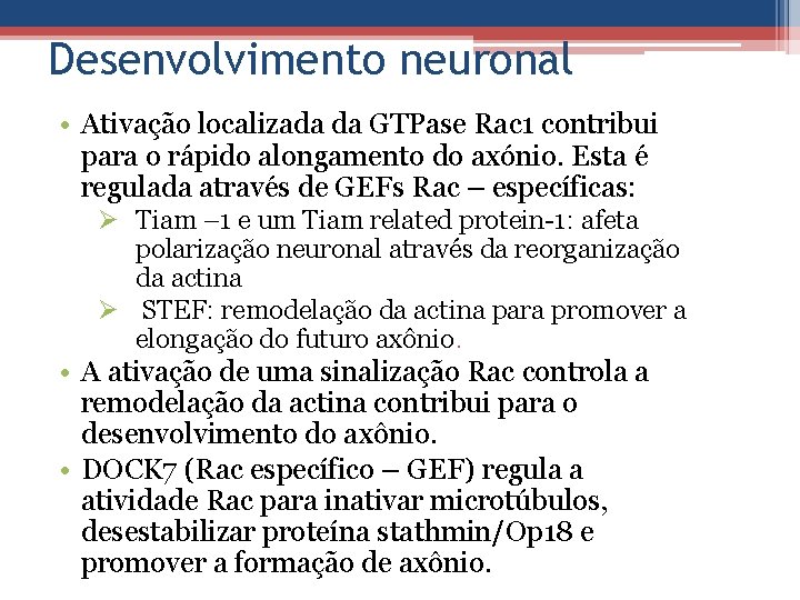 Desenvolvimento neuronal • Ativação localizada da GTPase Rac 1 contribui para o rápido alongamento