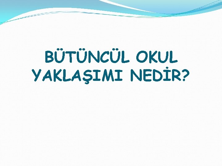 BÜTÜNCÜL OKUL YAKLAŞIMI NEDİR? 