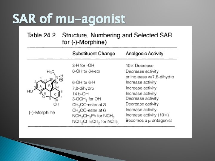 SAR of mu-agonist 