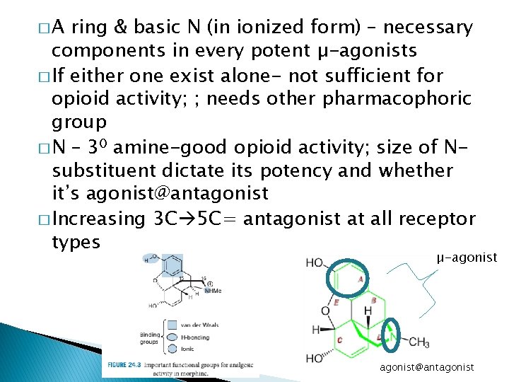 �A ring & basic N (in ionized form) – necessary components in every potent