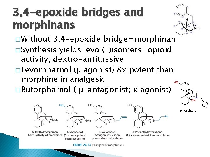 3, 4 -epoxide bridges and morphinans � Without 3, 4 -epoxide bridge=morphinan � Synthesis