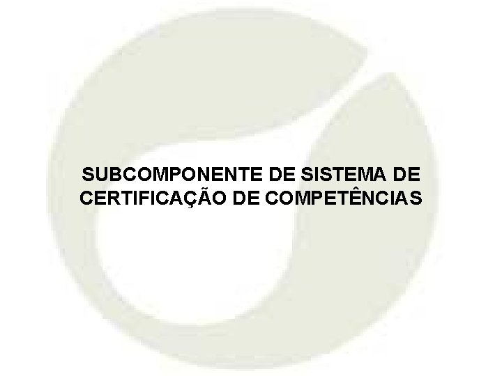 SUBCOMPONENTE DE SISTEMA DE CERTIFICAÇÃO DE COMPETÊNCIAS 