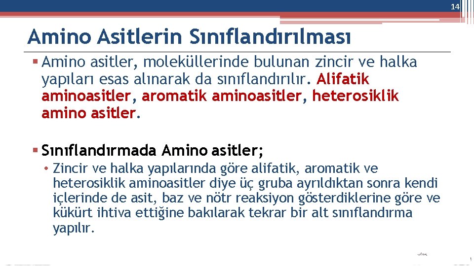 14 Amino Asitlerin Sınıflandırılması Amino asitler, moleküllerinde bulunan zincir ve halka yapıları esas alınarak