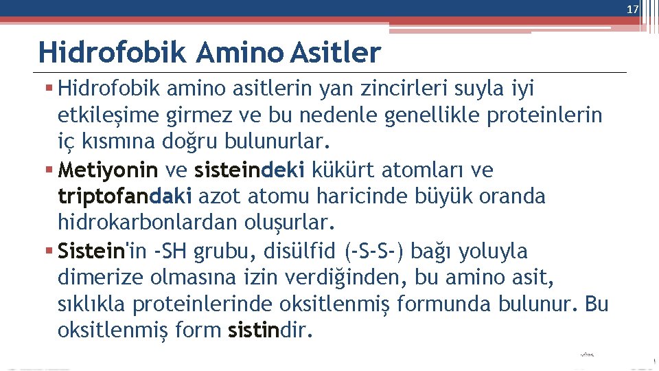 17 Hidrofobik Amino Asitler Hidrofobik amino asitlerin yan zincirleri suyla iyi etkileşime girmez ve