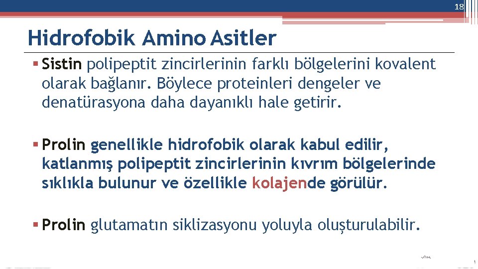 18 Hidrofobik Amino Asitler Sistin polipeptit zincirlerinin farklı bölgelerini kovalent olarak bağlanır. Böylece proteinleri