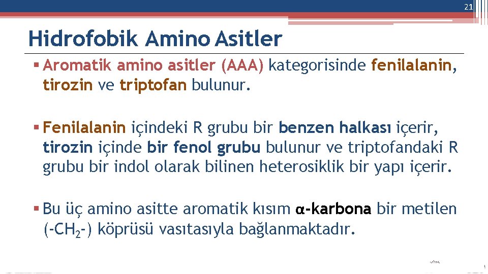 21 Hidrofobik Amino Asitler Aromatik amino asitler (AAA) kategorisinde fenilalanin, tirozin ve triptofan bulunur.