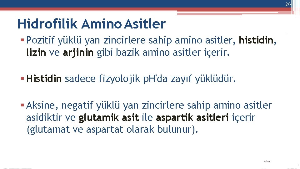 26 Hidrofilik Amino Asitler Pozitif yüklü yan zincirlere sahip amino asitler, histidin, lizin ve