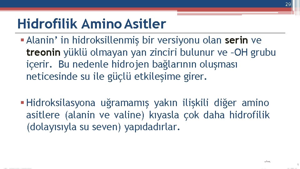 29 Hidrofilik Amino Asitler Alanin’ in hidroksillenmiş bir versiyonu olan serin ve treonin yüklü