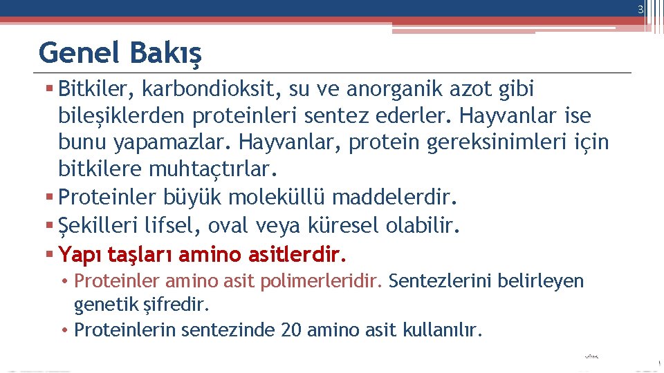 3 Genel Bakış Bitkiler, karbondioksit, su ve anorganik azot gibi bileşiklerden proteinleri sentez ederler.