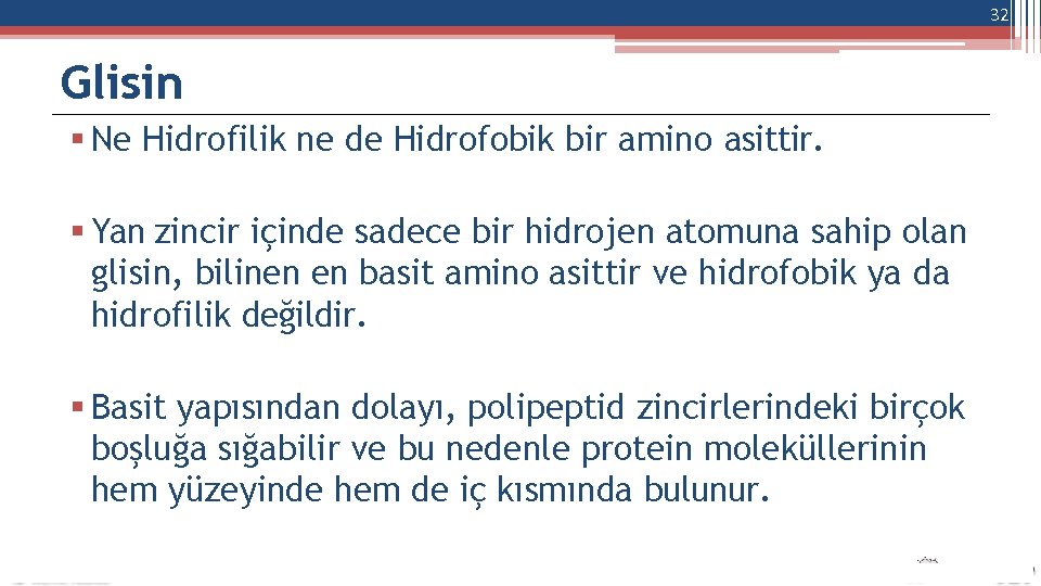 32 Glisin Ne Hidrofilik ne de Hidrofobik bir amino asittir. Yan zincir içinde sadece