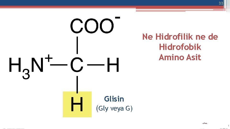 33 Ne Hidrofilik ne de Hidrofobik Amino Asit Glisin (Gly veya G) 