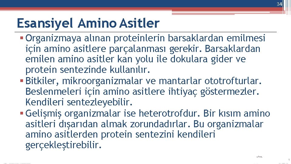 34 Esansiyel Amino Asitler Organizmaya alınan proteinlerin barsaklardan emilmesi için amino asitlere parçalanması gerekir.