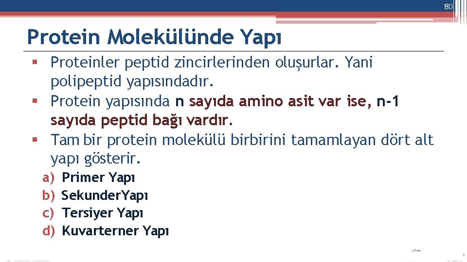 80 Protein Molekülünde Yapı Proteinler peptid zincirlerinden oluşurlar. Yani polipeptid yapısındadır. Protein yapısında n