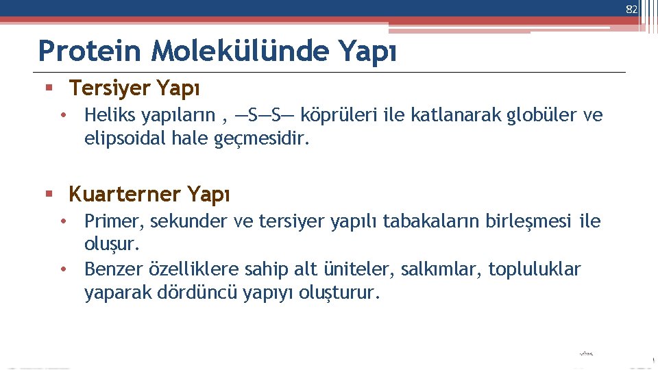 82 Protein Molekülünde Yapı Tersiyer Yapı • Heliks yapıların , —S—S— köprüleri ile katlanarak