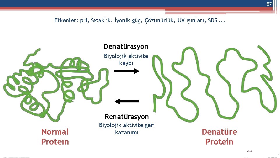 87 Etkenler: p. H, Sıcaklık, İyonik güç, Çözünürlük, UV ışınları, SDS. . . Denatürasyon