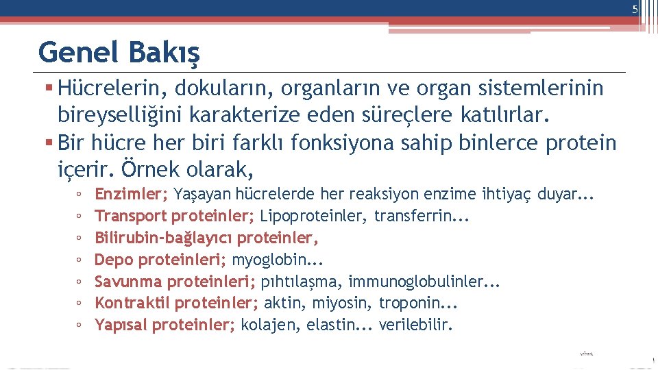 5 Genel Bakış Hücrelerin, dokuların, organların ve organ sistemlerinin bireyselliğini karakterize eden süreçlere katılırlar.