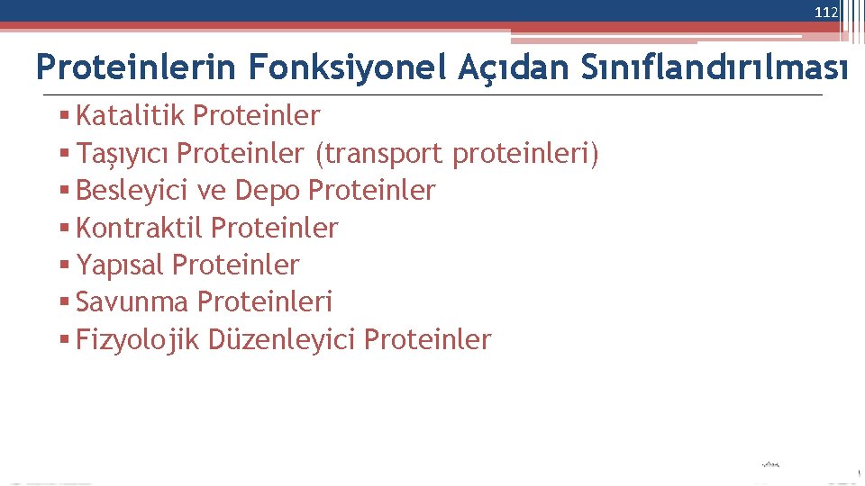 112 Proteinlerin Fonksiyonel Açıdan Sınıflandırılması Katalitik Proteinler Taşıyıcı Proteinler (transport proteinleri) Besleyici ve Depo