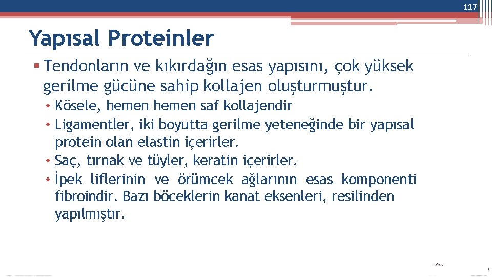 117 Yapısal Proteinler Tendonların ve kıkırdağın esas yapısını, çok yüksek gerilme gücüne sahip kollajen