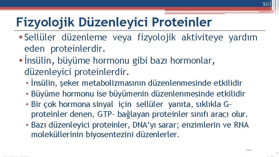 120 Fizyolojik Düzenleyici Proteinler Sellüler düzenleme veya fizyolojik aktiviteye yardım eden proteinlerdir. İnsülin, büyüme