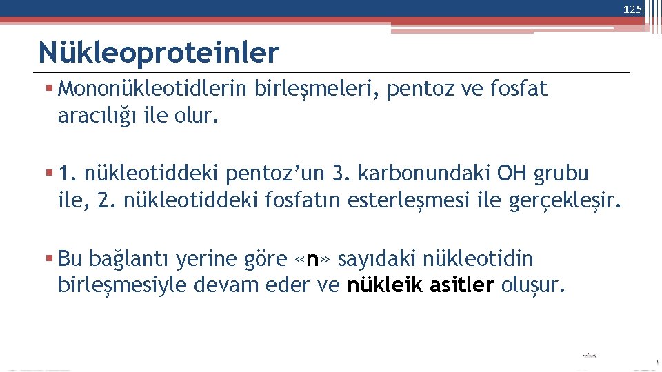 125 Nükleoproteinler Mononükleotidlerin birleşmeleri, pentoz ve fosfat aracılığı ile olur. 1. nükleotiddeki pentoz’un 3.