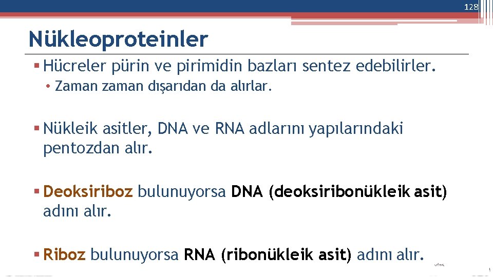 128 Nükleoproteinler Hücreler pürin ve pirimidin bazları sentez edebilirler. • Zaman zaman dışarıdan da