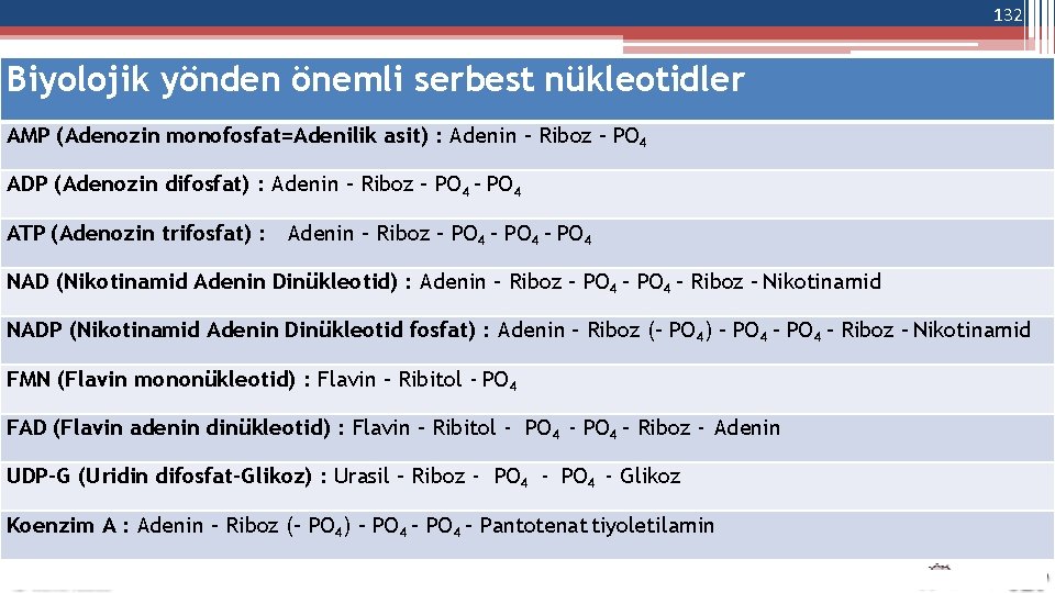 132 Biyolojik yönden önemli serbest nükleotidler AMP (Adenozin monofosfat=Adenilik asit) : Adenin – Riboz