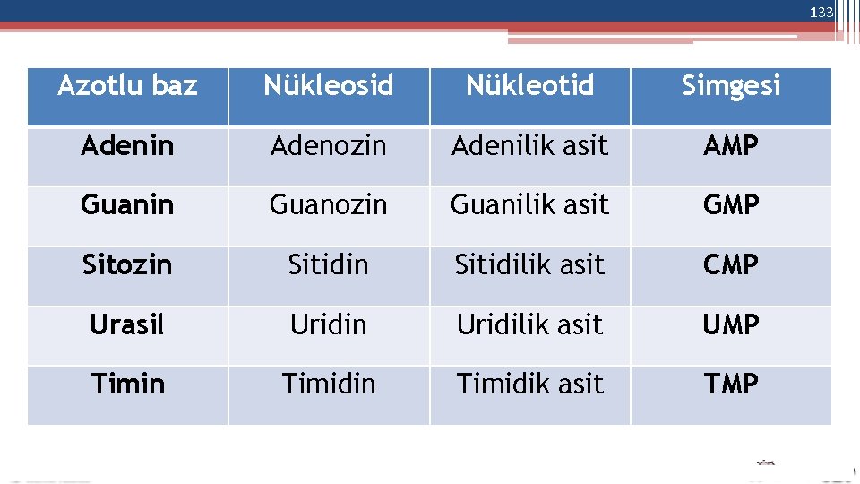 133 Azotlu baz Nükleosid Nükleotid Simgesi Adenin Adenozin Adenilik asit AMP Guanin Guanozin Guanilik